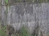 image of grave number 595116